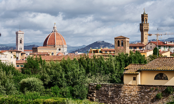 View of Florence from Bobble Gardens/Palazzo Patti