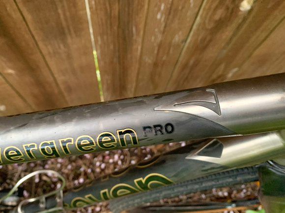 Seven Evergreen Pro - fancy carved titanium lugs with carbon tubes
